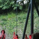 img_6290.jpg
