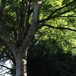 img_6211.jpg