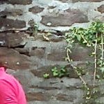 img_20240921_174625.jpg